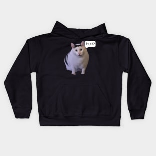 Huh Cat Meme Kids Hoodie